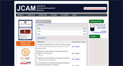 Desktop Screenshot of jcam.com.tr