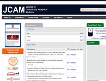 Tablet Screenshot of jcam.com.tr